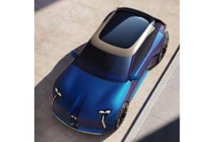 DS F3VER (9)