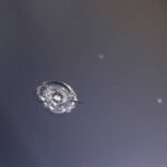 cracked windshield 04