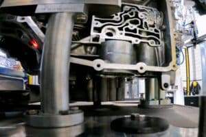 edct-plant-turin (1) (1)